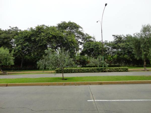 San Borja bello apartamento