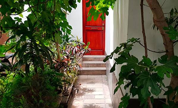 Estudio en Miraflores