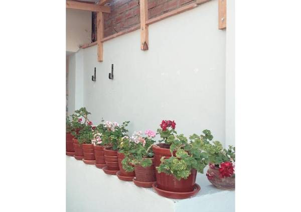 Apartamento Independiente 1 dormitorio cama Queen