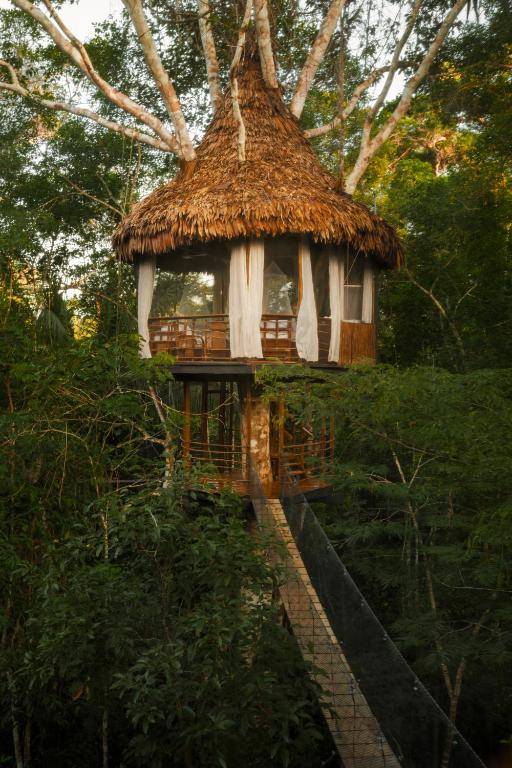Treehouse Lodge