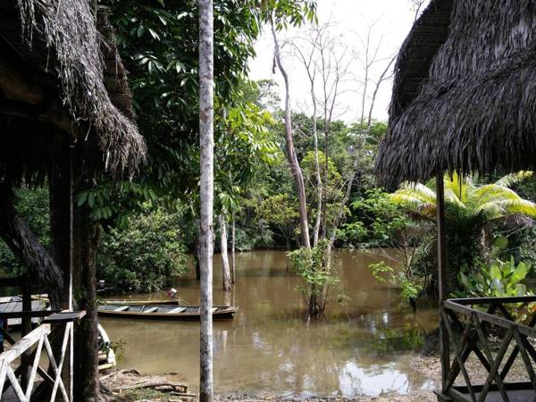 Lodge Jungle Wolf Expeditions