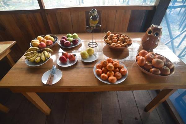Amazon Muyuna Lodge - All Inclusive