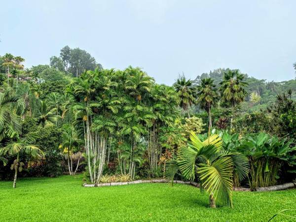 TAHITI - Fare Mitinui Surf Break