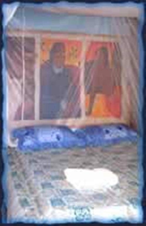 Pension Te Nahetoetoe