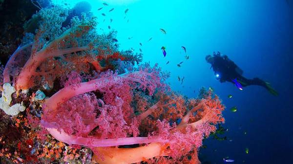 The Blue Abyss Resort