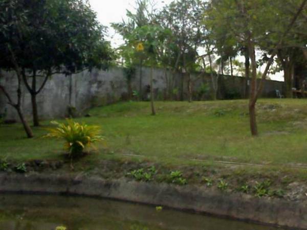 Rex Habitat and Cultural Display Area