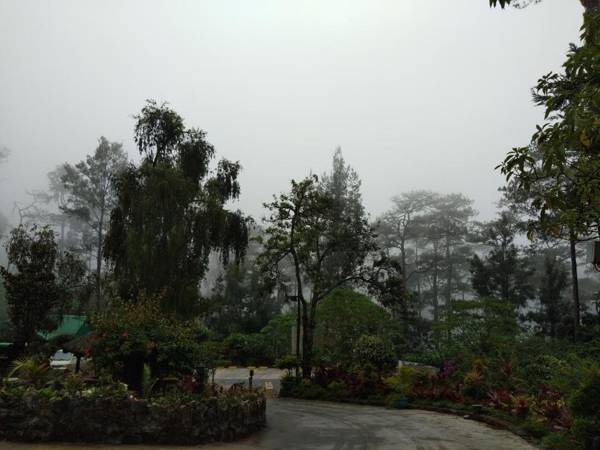 Log Cabin Hotel - Safari Lodge Baguio