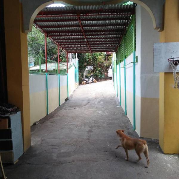 Zeb's Transient House