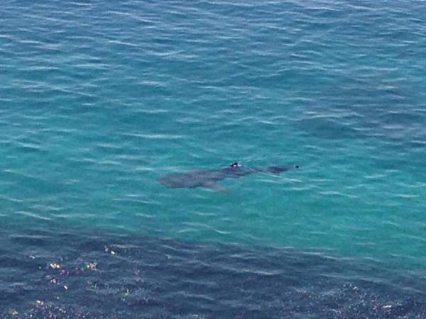 Jaynet Oceanview Resort