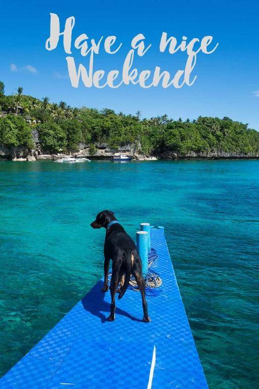 Bohol-Lahoy Dive Resort