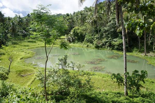 Water to Forest Ecolodge