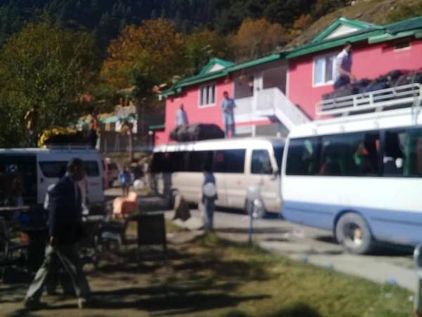 Pine Park Lodges