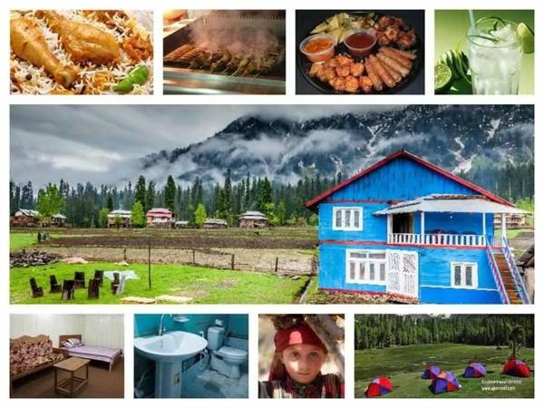 Musk Deer Resort