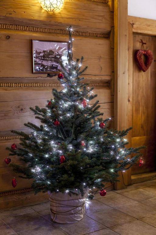 Apartamenty u Giewonta