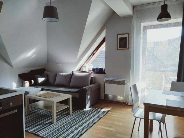 Apartament Kasprowy Jaszczurówka