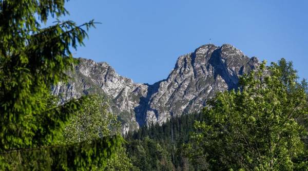 Rent like home - Krzeptowskiego