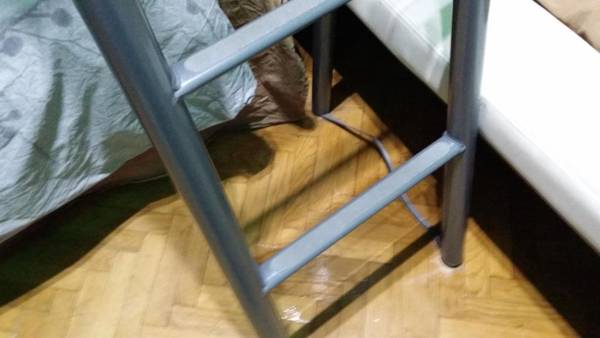 APARTAMENT VENGE -CAŁE MIESZKANIE 46m2 NA WYŁĄCZNOŚĆ - Z JEDNĄ SYPIALNIĄ I JEDNYM SYPIALNO-SALONEM -3 PIĘTRO BEZ WINDY- REALIZUJEMY BON TURYSTYCZNY - REZERWACJA BEZ KARTY KREDYTOWEJ-KLIMATYZACJA-2 ŁÓŻECZKA DZIECIĘCE-ŚNIADANIE 25zł