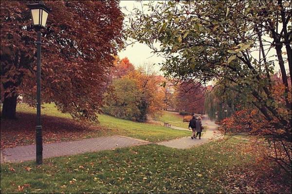 Rynek Starego Miasta 19