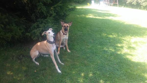 Willa Panorama Medical Spa