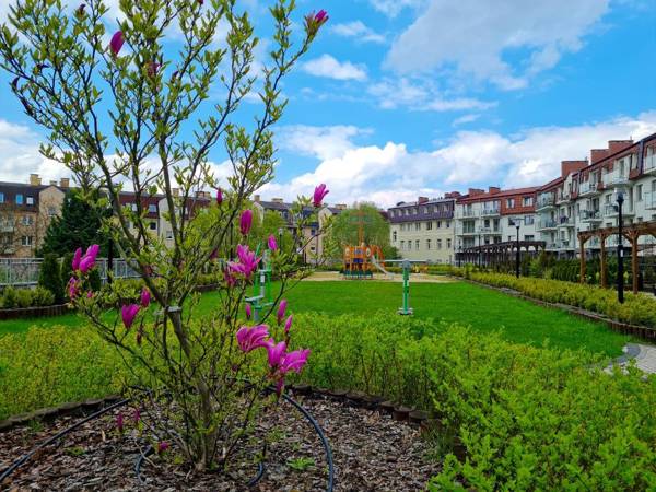 visit baltic - Róży Wiatrów