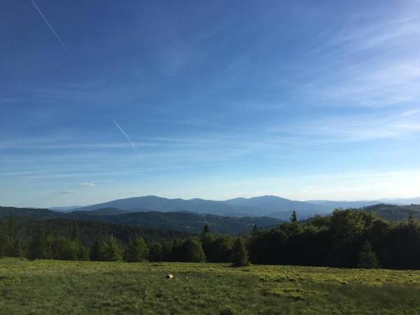 Agroturystyka Leśny Zakątek