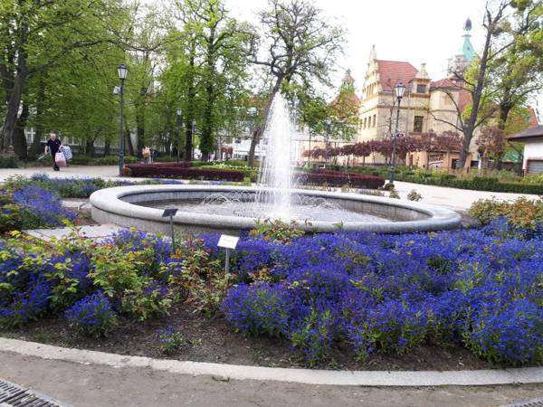 Kierunek Sopot Apartament WERANDA Haffnera 32