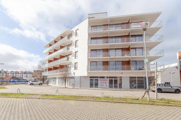 Rent like home - Pink Flamingo