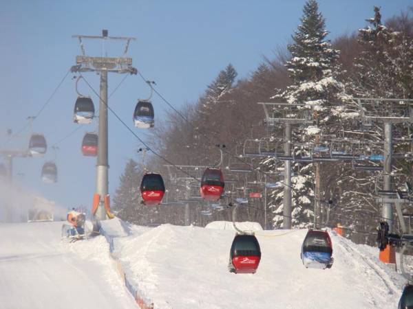 Apartamenty MGM Resorts