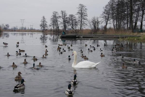 Kryształowy Pałacyk