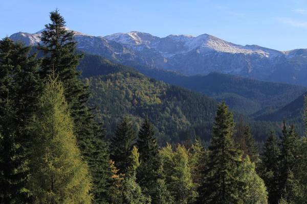 Rewita Kościelisko-Zakopane