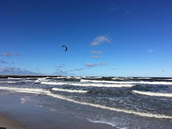 CHILLIapartamenty - GARDEN