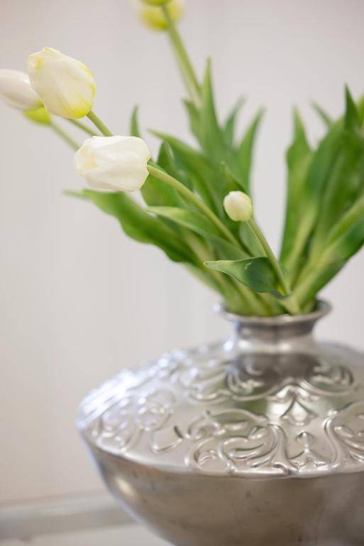 Apartament Baltini Premium Polanki Park