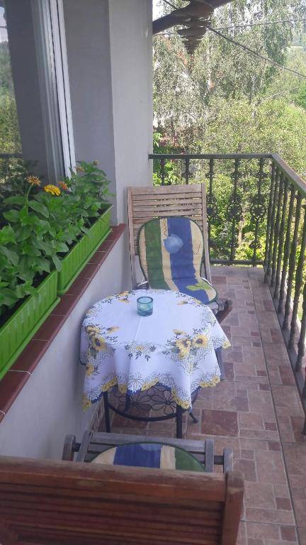 Apartament Bukowy