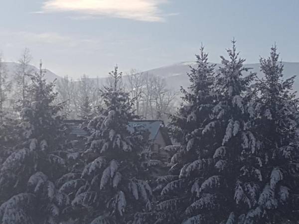 Apartamenty Czerwony Dworek