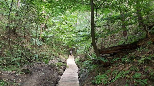 Domki Apartamentowe Kierunek Rozewie