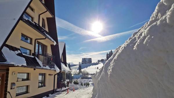 Willa Bukovinka - bliskość lasu wyciągów i term BON TURYSTYCZNY