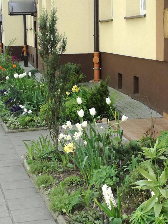 Nordic Apartamenty Suraska