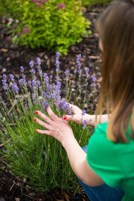 Folwark Księżnej Anny