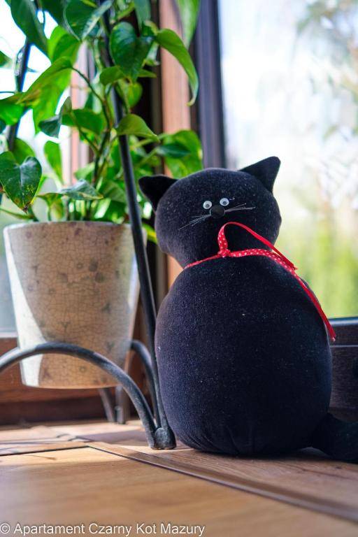 Czarny Kot Mazury Dom Całoroczny