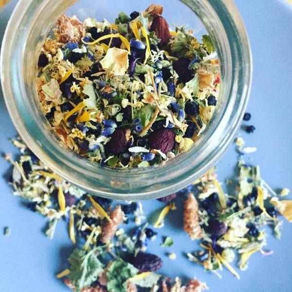 Apartament Babia Góra