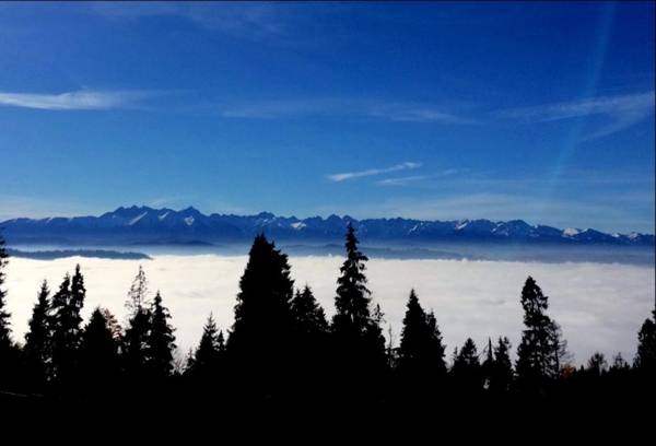 KOZA U WOZA glamping ekoSPA sery kozie&wino