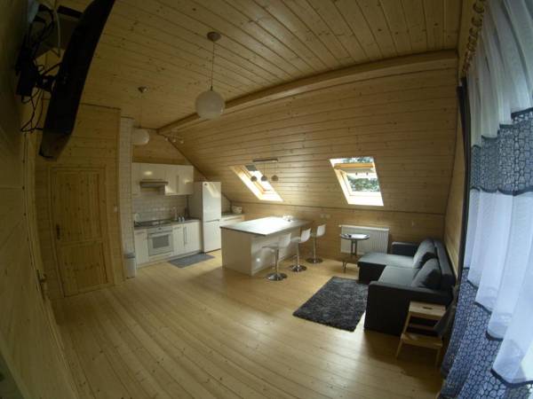 Apartament Pod kogutkiem