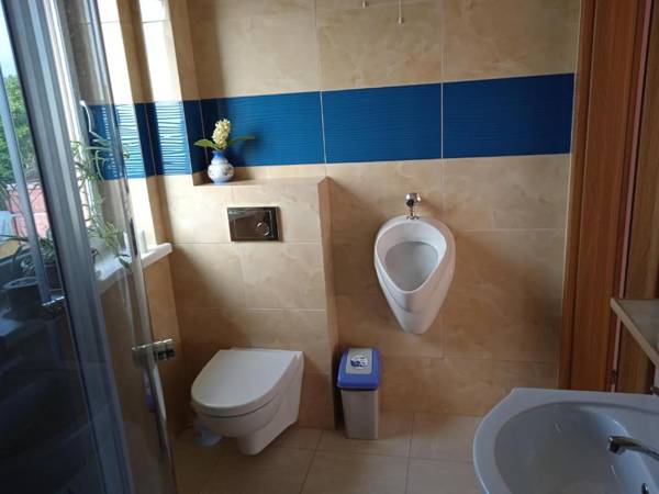 Agrostok noclegi agroturystyka