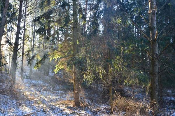 Oaza Mazurska - Domek z kominkiem