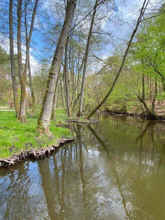 Agroturystyka Gęsiniec Stare Osieczno