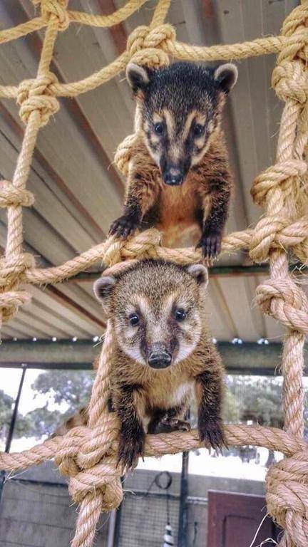 Monte Santa Catarina