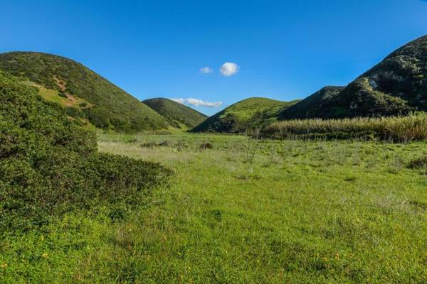 Arrifana Destination Boutique