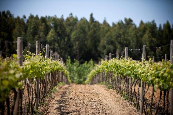 Herdades Da Frupor - Casas De Campo