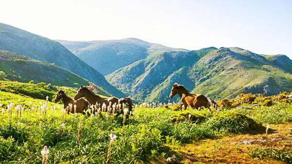 Agrinho Suites & Spa Geres