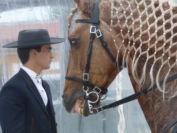 Quinta Almargem Lusitano - Farm House